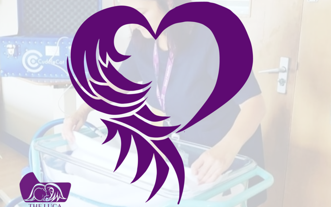 LUCA FOUNDATION – Sharon