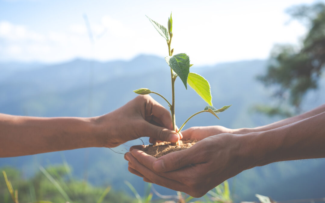 CREATING A PR PARTNERSHIP TO MAXIMISE YOUR SOCIAL IMPACT